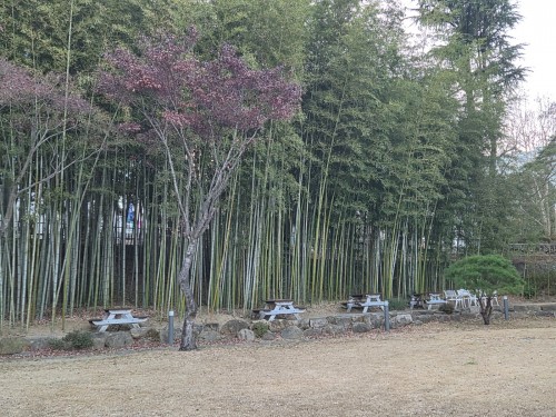 KakaoTalk_20260126_161151521_05