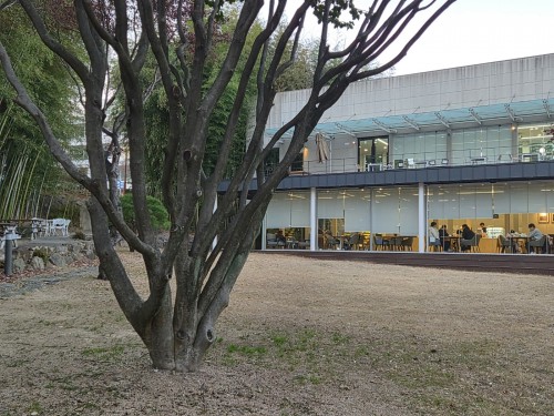 KakaoTalk_20260127_164850250