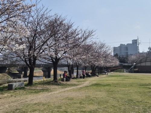 KakaoTalk_20260329_213822739_01