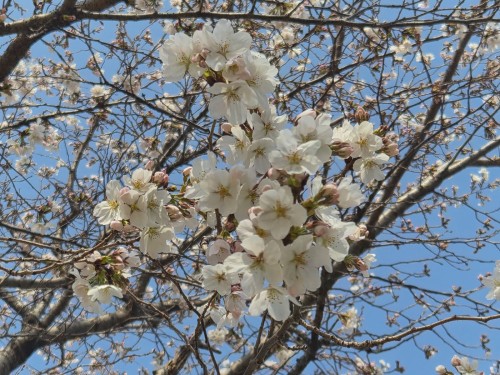 KakaoTalk_20260329_213822739_02