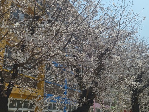 KakaoTalk_20260329_213822739_03