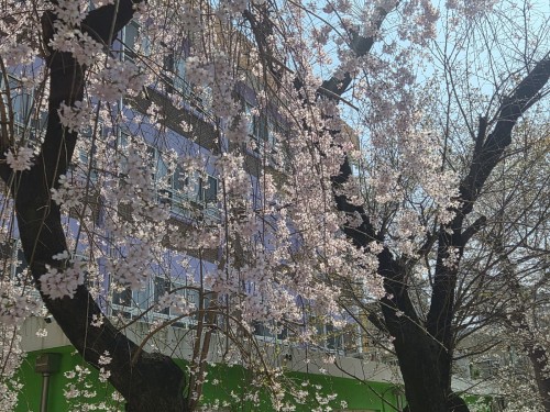 KakaoTalk_20260329_213822739_04