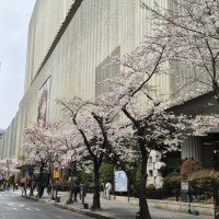 KakaoTalk_20260331_070920760_01