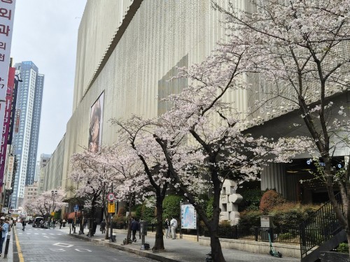 KakaoTalk_20260331_070920760_01