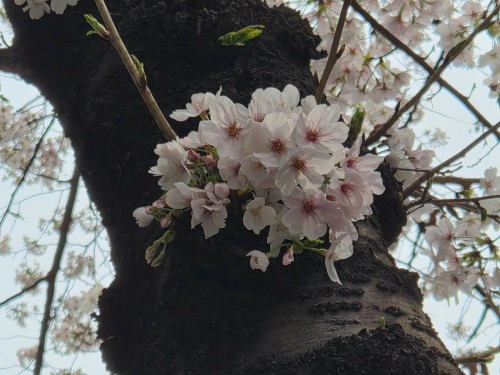 KakaoTalk_20260331_070920760_02