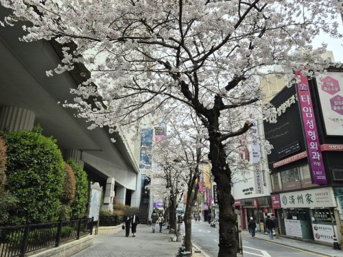 KakaoTalk_20260331_070920760_03