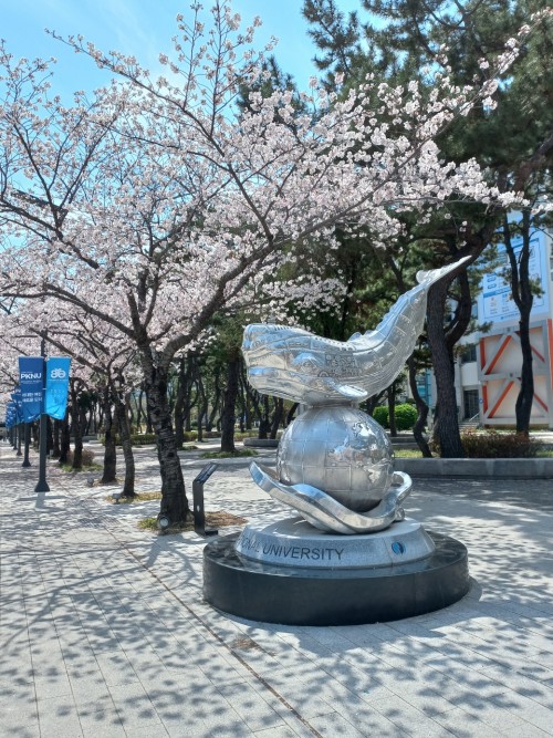 KakaoTalk_20260412_170611887_03