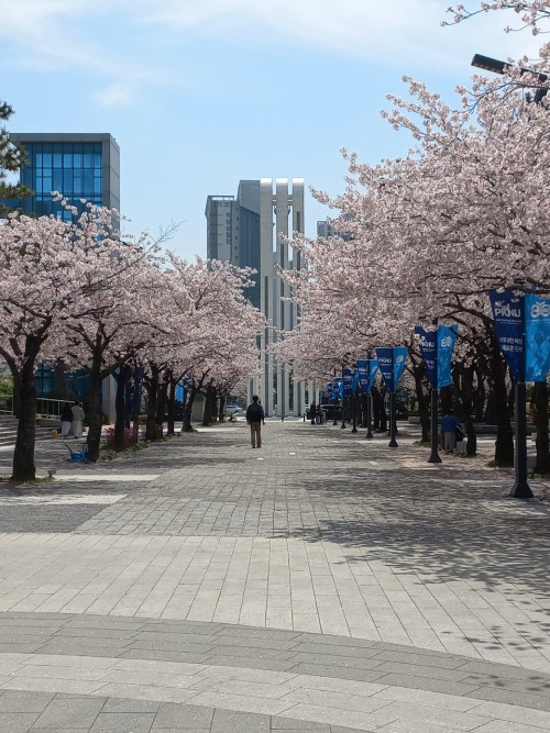 KakaoTalk_20260412_170611887_04