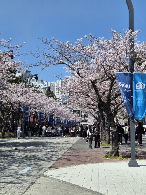 KakaoTalk_20260412_175720057_02