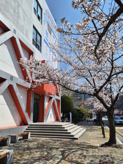 KakaoTalk_20260412_175840660_01